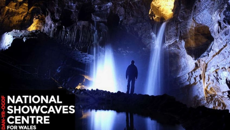 d7cd936d-a67a-483b-a001-923448eef64a